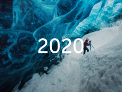 Logo of 2020 progress report