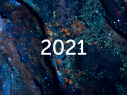 Logo of 2021 progress report